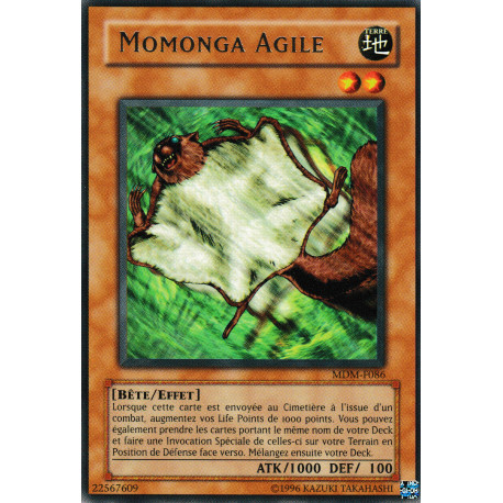Momonga Agile (R)