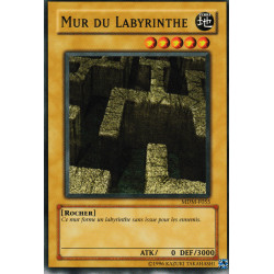 Mur du Labyrinthe (C)