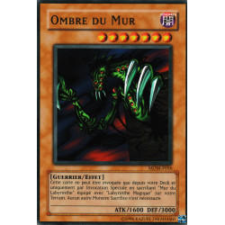 Ombre du Mur (C)
