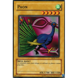 Paon (C)