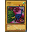 Paon (C) [MDM]