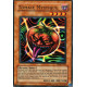 Tomate Mystique (R)