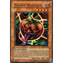 Tomate Mystique (R) [MDM]