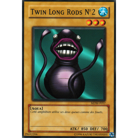 Twin Long Rods n°2 (C)