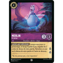 Merlin : En tortue [Ciel Scintillant]