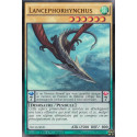 Lancephorhynchus (UR) [NECH]