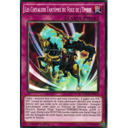 Les Chevaliers Fantômes Du Voile De L'ombre (C) [N