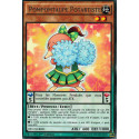 Pompomtaupe Potartiste (R) [NECH]