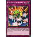 Résurrection Potartiste (C) [NECH]