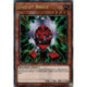 Gadget Rouge (QCSE) [MP24]