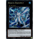Requin Bahamut (QCSE) [MP24]