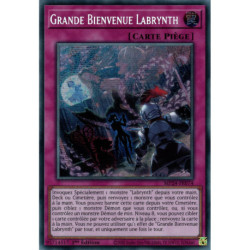 Grande Bienvenue Labrynth (PSE) [MP24]