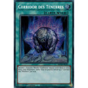 Corridor des Ténèbres (PSE) [MP24]