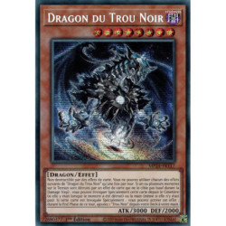 Dragon du Trou Noir (PSE) [MP24]