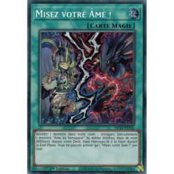 Misez votre Âme ! (PSE) [MP24]