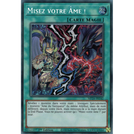 Misez votre Âme ! (PSE) [MP24]