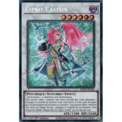 Esprit Castlin (PSE) [MP24]