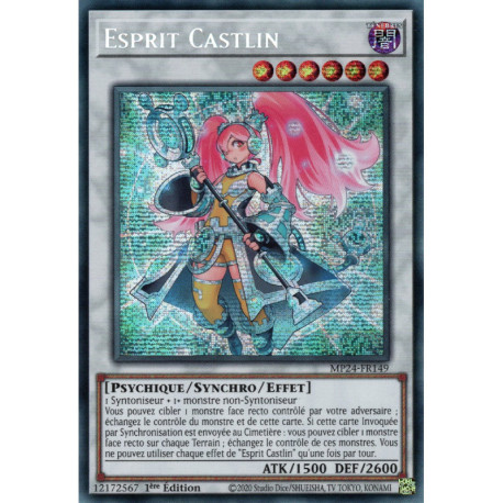 Esprit Castlin (PSE) [MP24]