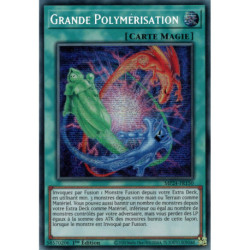 Grande Polymérisation (PSE) [MP24]
