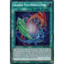 Grande Polymérisation (PSE) [MP24]