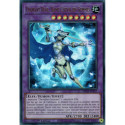 Diamant Rose, Dame Chevalier-Gemmes (UR) [MP24]