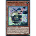 Intrépide Mannadium (UR) [MP24]