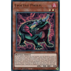 Évoltile Pholis (UR) [MP24]