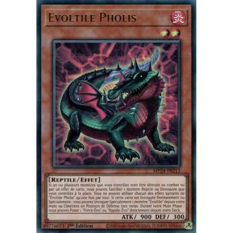 Évoltile Pholis (UR) [MP24]