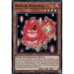 Bougie Agnimal (UR) [MP24]