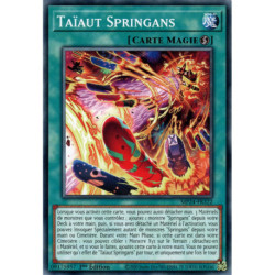 Taïaut Springans (C) [MP24]