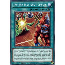 Jeu de Ballon Géant (C) [MP24]