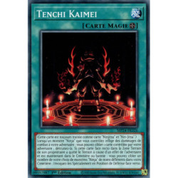Tenchi Kaimei (C) [MP24]