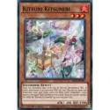 Kitsuni Kitsunebi (C) [MP24]