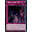 Étude du Marqué (C) [MP24]