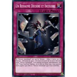 Un Royaume Déchiré et Incolore (C) [MP24]