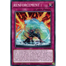 RENFORCEMENT ! (C) [MP24]