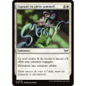 (Foil) Blanche - Capturé en plein sommeil (C) [DSK]