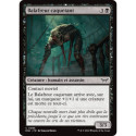(Foil) Noire - Balafreur caquetant (C) [DSK]
