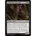 (Foil) Noire - Profanatrice spectrale (C) [DSK]