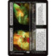 (Foil) Noire - Annexe impie // Chambre de rituel (V1) (R) [DSK]