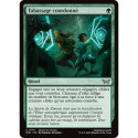 (Foil) Verte - Tabassage coordonné (U) [DSK]