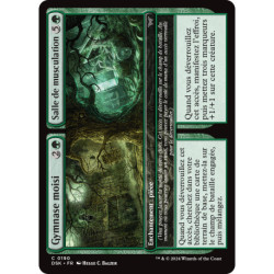 (Foil) Verte - Gymnase moisi // Salle de musculation (C) [DSK]