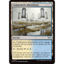 (Foil) Terrain - Campement abandonné (C) [DSK]