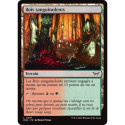 (Foil) Terrain - Bois sanguinolents (C) [DSK]