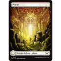 (Foil) Terrain - Plaine (V1) (L) [DSK]