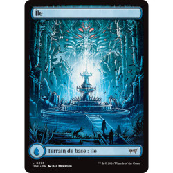 (Foil) Terrain - Île (V1) (L) [DSK]
