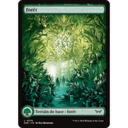 (Foil) Terrain - Forêt (V1) (L) [DSK]