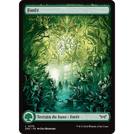 (Foil) Terrain - Forêt (V1) (L) [DSK]