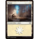 (Foil) Terrain - Plaine (V2) (L) [DSK]