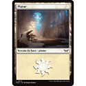 (Foil) Terrain - Plaine (V2) (L) [DSK]